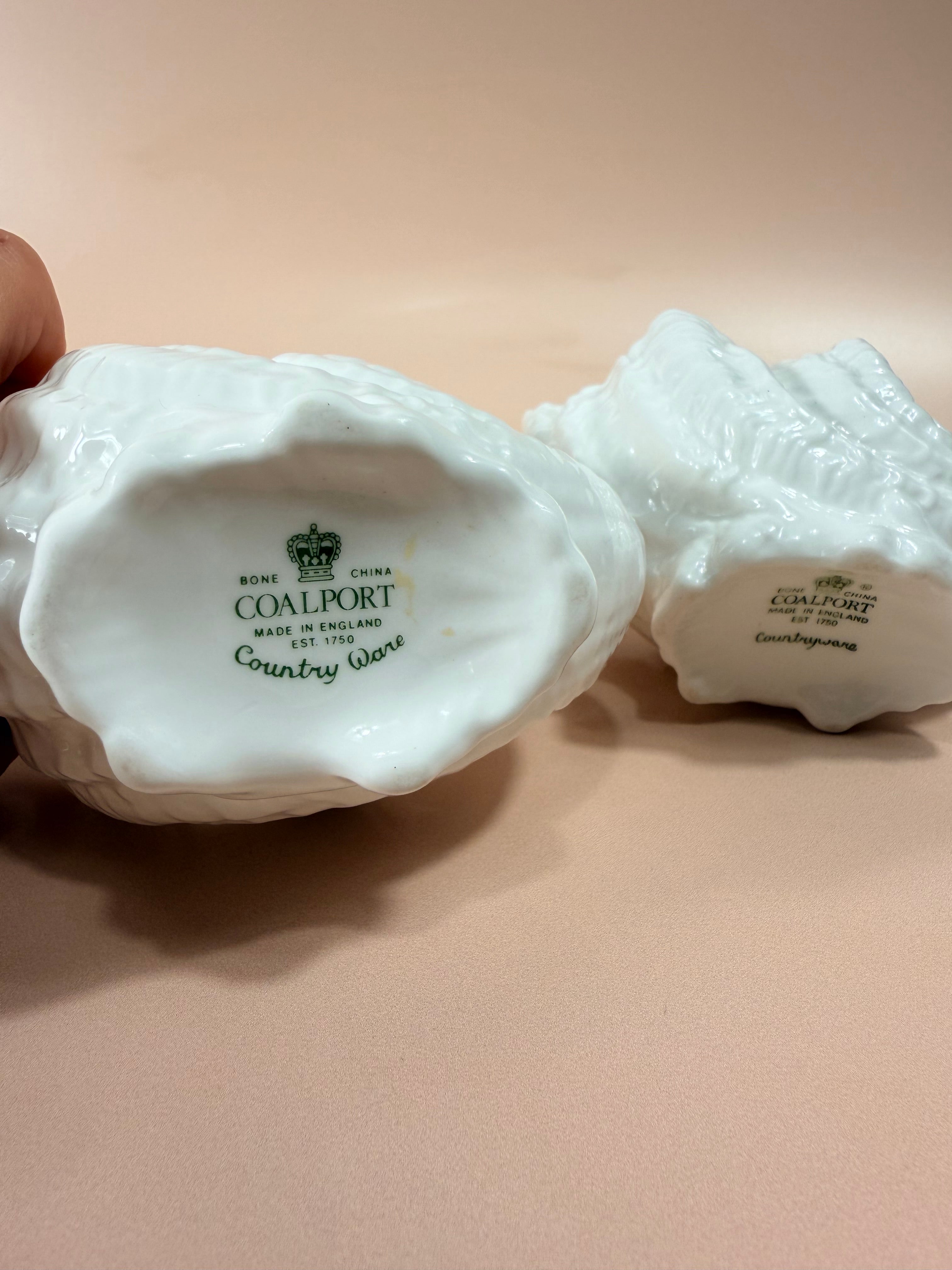 Coalport Seashell Dishes Set Countryware Salt Sauce Pickle Cabbage Le