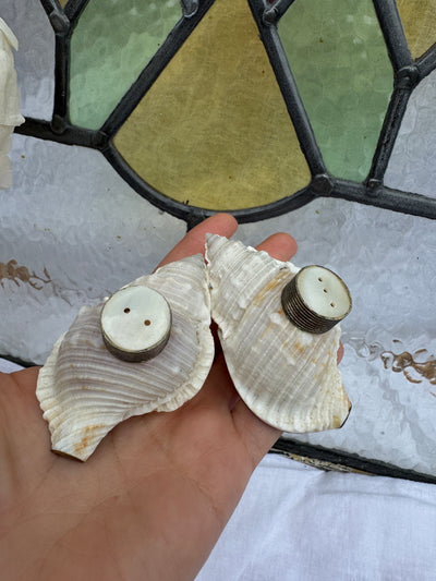 Salière et poivrière vintage faits main en coquillage conque avec couvercles en nacre