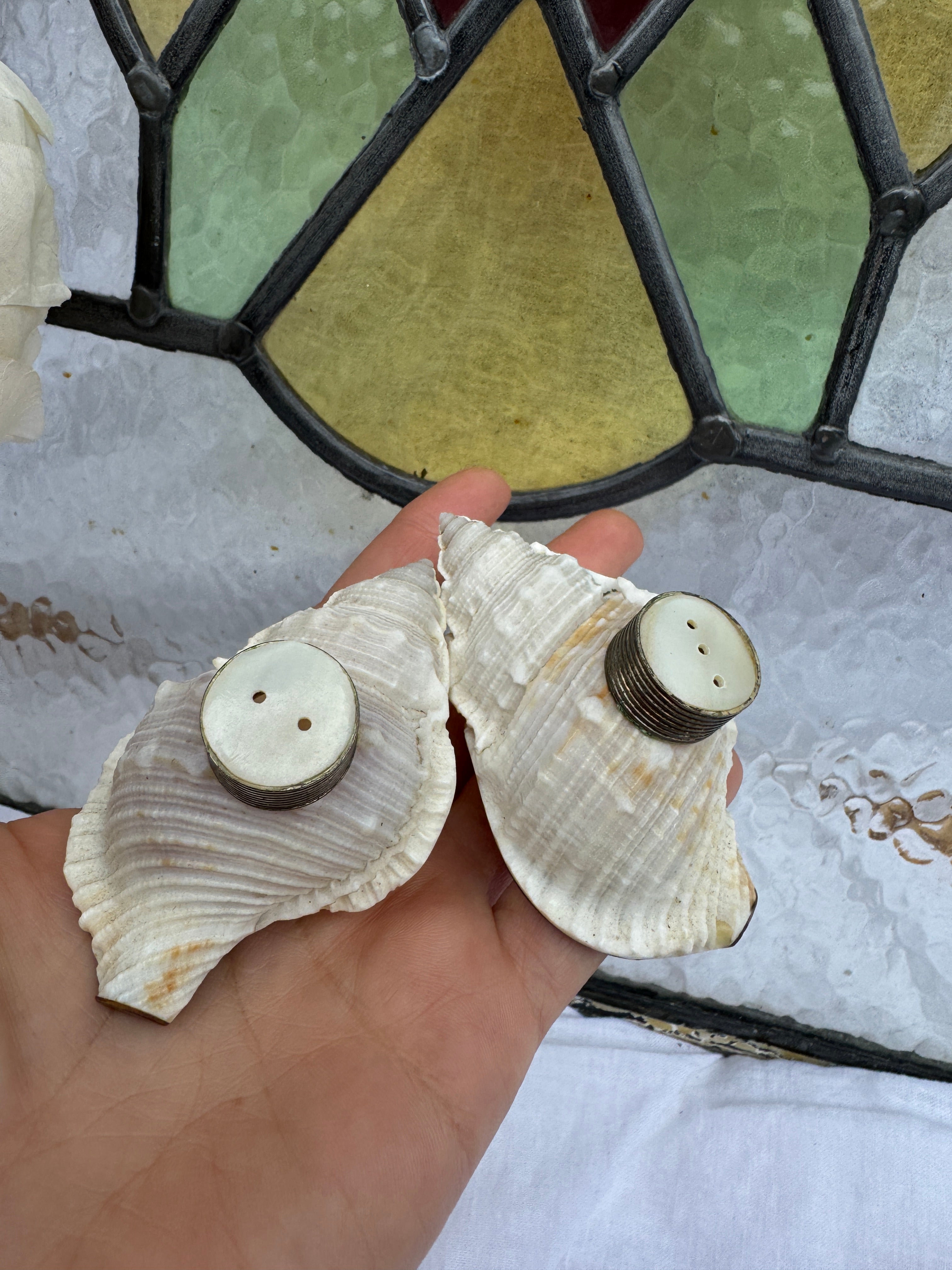 Vintage Handmade conch seashell salt and paper makers with mother of pearl tops