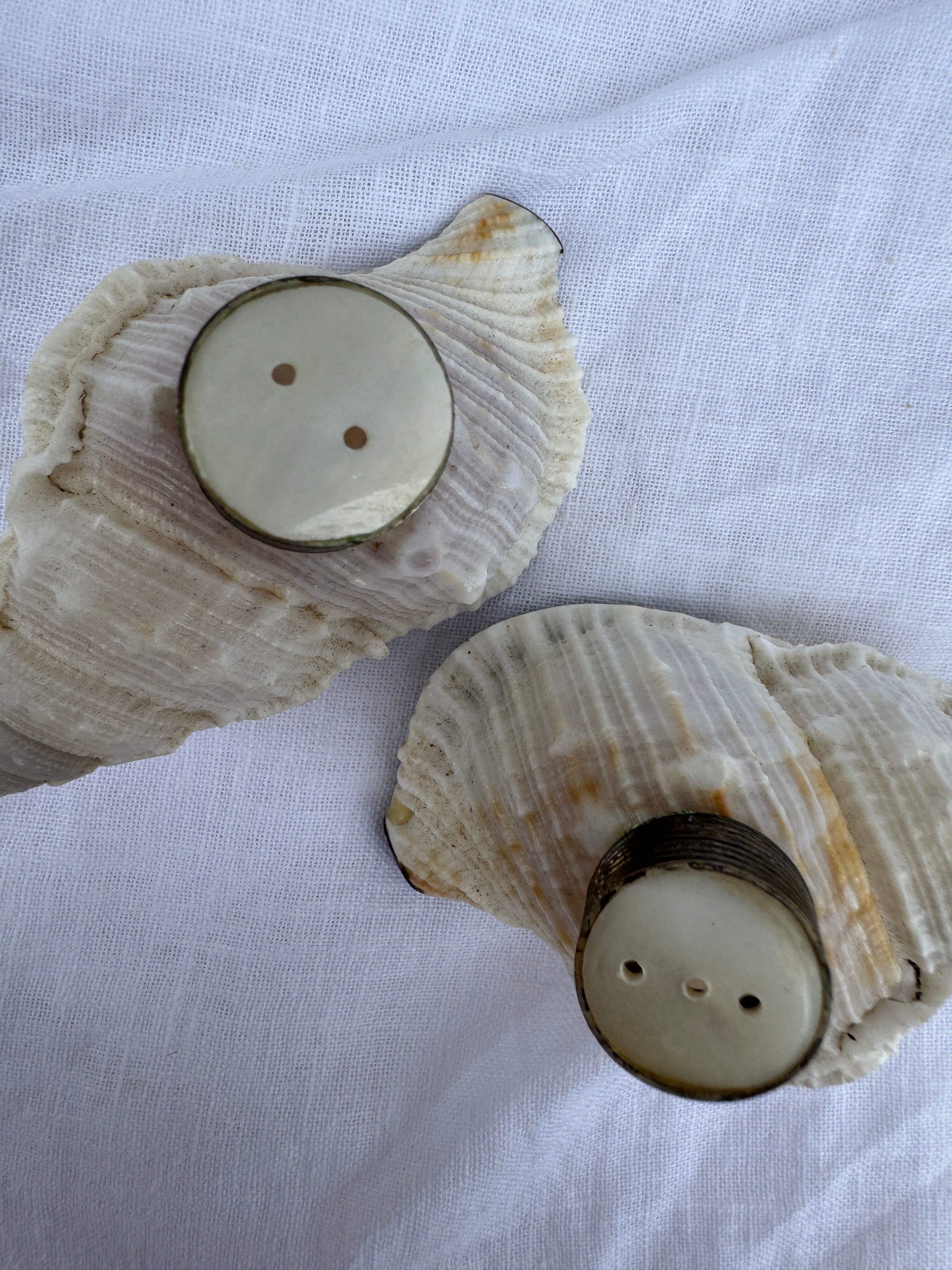 Vintage Handmade conch seashell salt and paper makers with mother of pearl tops